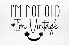 Funny Quotes Designs SVG Product Image 2