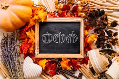 Pumpkin SVG bundle, pumpkin silhouette svg, Thanksgiving svg Product Image 9