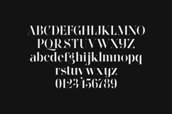 Wonderz Vogue Elegant Fashion Serif Font Product Image 2