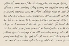 Ravel Elegant Signature Script Font Product Image 2