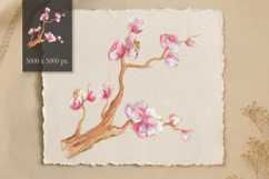 Hand Painted Sakura PNG Elements - Watercolor &amp; Oil Pastel Product Image 3