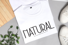 Santa Dream Product Image 2