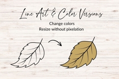 Hand Drawn Fall Leaf SVG Product Image 2
