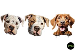 Breeds Of Peeking Dogs Collection Product Image 1