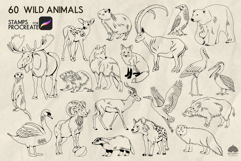 Wild animals Procreate Stamps Product Image 2