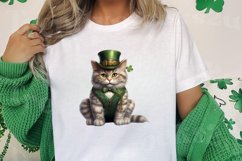 St Patricks Day Cats Clipar, Bundle, St Patricks Day Cats Product Image 3