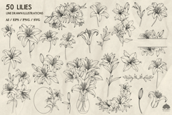 Lilies line art collection Svg Png Eps Product Image 2
