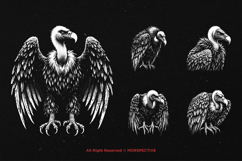 10 Bundle Dark Art Condor Bird Predator Vulture Beast Product Image 3