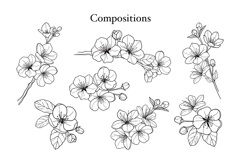 Cherry Blossom Clipart SVG PNG Product Image 5