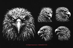 10 Bundle Dark Art Eagle Bird Head Face flying Wings Tattoo Product Image 3
