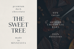 Typhera Elegant Serif Font Product Image 2