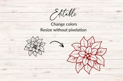 Hand Drawn Poinsettia SVG Product Image 2