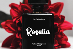 Pumpkin Midnight Product Image 2