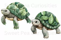 Turtles, Tropical, Ephemera, PNG, watercolor, Clipart Product Image 2