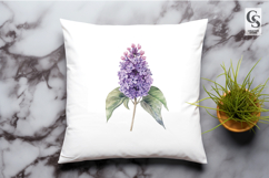 Watercolor Lilac Flower Clipart Sublimation PNG Product Image 2