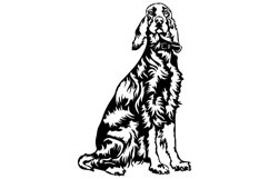 Irish Setter dog/Dog Svg/Png/Jpg/Ai/Vector purebred bree Product Image 3