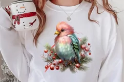 Christmas Birds Clipart , Christmas Birds Clipart Product Image 2
