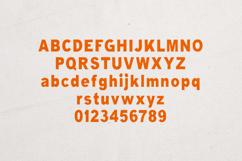 Minerva Bold Organic Sans Serif Font Product Image 2