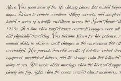 Lovel Refined Romantic Script Font Product Image 2