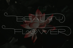 Qanisha Product Image 2