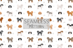 Cavapoo. Cavalier Spaniel-Poodle mix Product Image 6