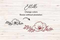 Hand Drawn Poppy Floral Divider SVG Product Image 2