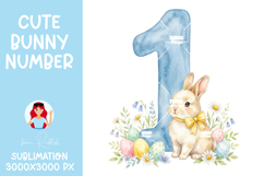 Easter Bunny Number 1 PNG,Baby Shower Sublimation Design Product Image 1