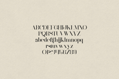 Mother Elegant High-Contrast Serif Font Product Image 2