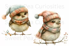 Birds, Christmas, Fall, Ephemera, PNG, watercolor, Clipart Product Image 2