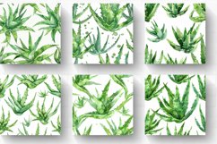 Aloe Vera Watercolor Digital Paper Backgrounds Product Image 2