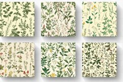 Cottage core Vintage Botanical Herb Digital Paper Background Product Image 2