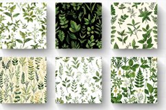 Botanical Plants Herbs Leaves Digital Paper Backgrounds Product Image 2