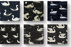 Night Swans Digital Paper Backgrounds Product Image 2