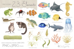 Australian Animals Clip Art Vol 4 Product Image 2