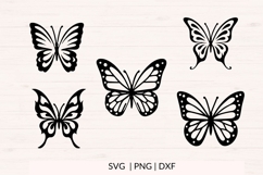 Butterfly SVG Bundle | Hand Drawn PNG DXF Cut Files Set Product Image 2