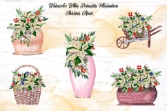 White Poinsettia Illustrations Product Image 2