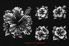10 Bundle Dark Art Hibiscus Flower Wild Tropical Floral Product Image 3