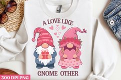 A love like gnome other PNG, Cozy Valentine Sublimation PNG Product Image 3