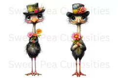 Birds, Ostrich, Ephemera, PNG, watercolor, Clipart Product Image 2