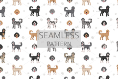 Great Danoodle dog mix Product Image 6