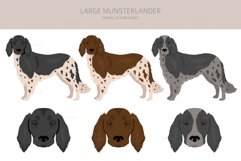 Large Munsterlander clipart Product Image 2