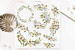 Watercolor Anemones Clipart, Neutral Flowers Product Image 2