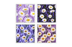 Daisy &amp; Lavender Flower Digital Paper Product Image 2