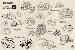 Nuts Procreate stamp brushes Product Image 2