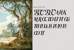 Casa Leru Elegant Font Product Image 2