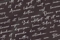 Balistica Signatura a Elegant Script Product Image 2