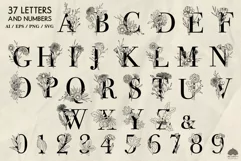 Fall Letters & Numbers SVG PNG EPS Product Image 2
