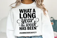 What a long year svg | Summer Svg | Shirt Svg Product Image 1