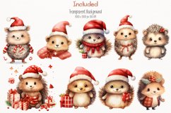 Chrisrtmas hedgehog Watercolor 50 Cliparts Collection Product Image 2