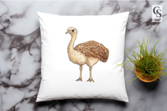 Watercolor Ostrich Clipart Sublimation PNG Product Image 3